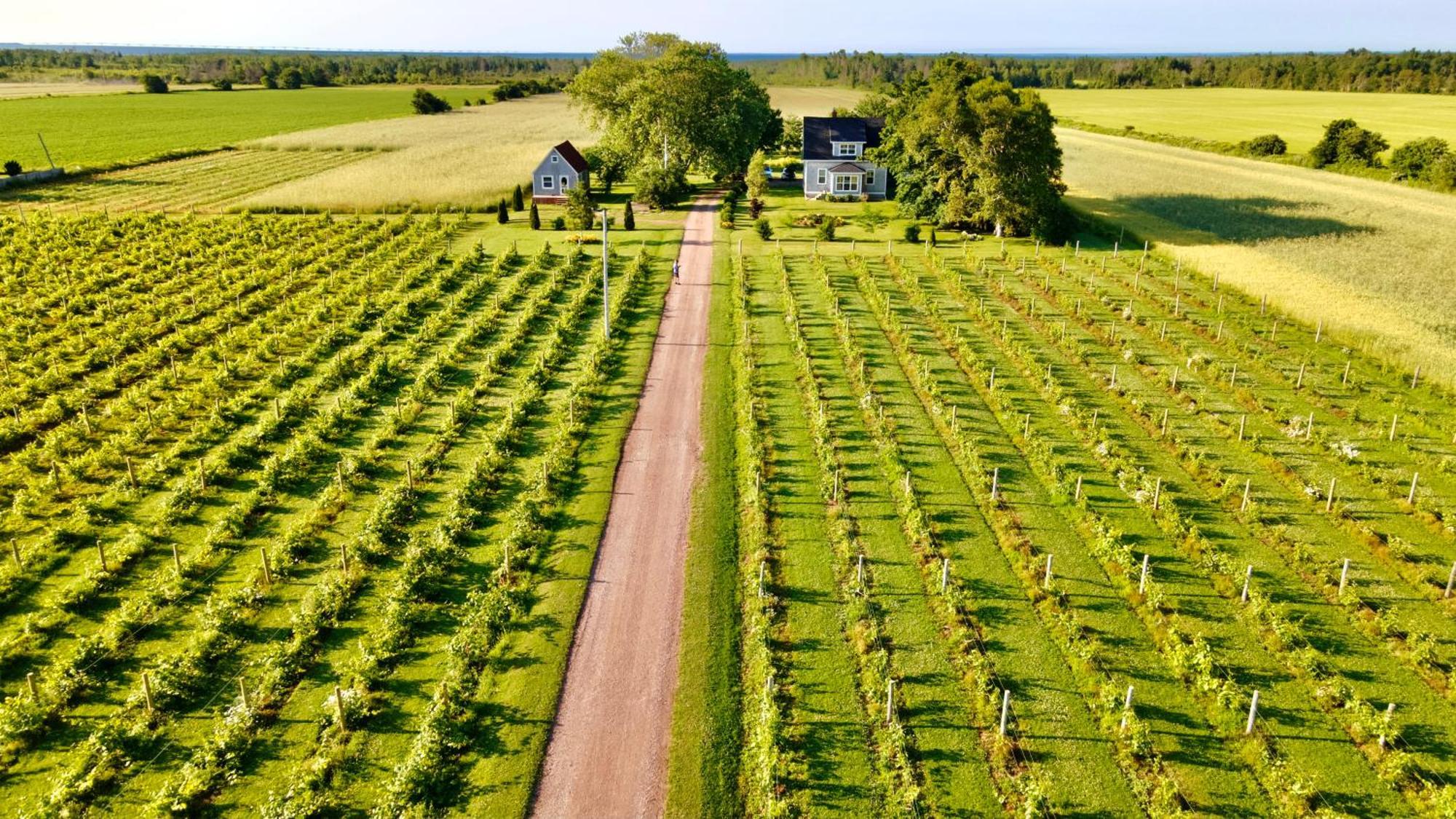 Bed and Breakfast Sunbury Cove Winery à Miscouche Extérieur photo